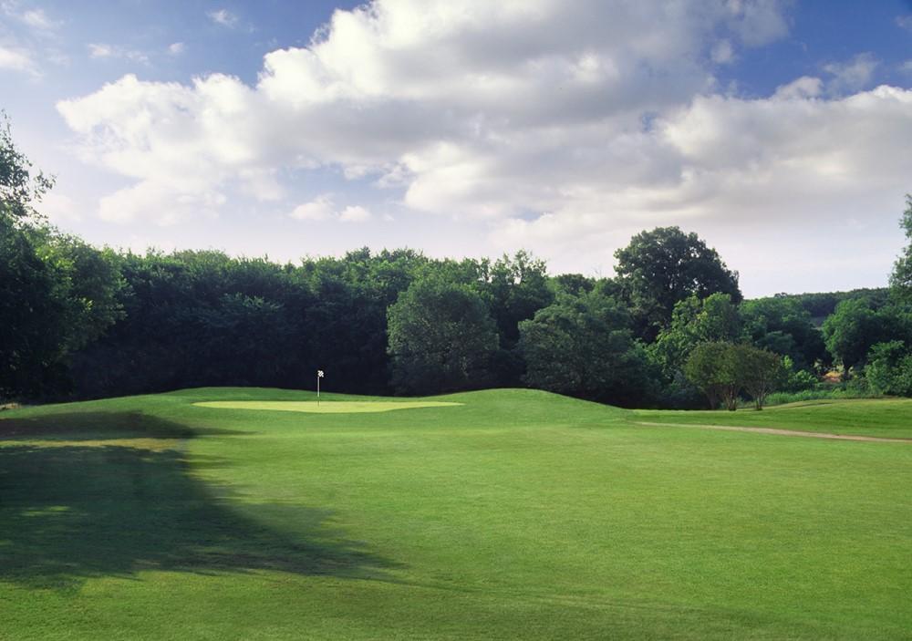 Trees on golf course fairway at Lake Arlington Golf Course